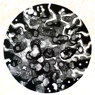 Monotype "Trifecta" by Normandie Hand