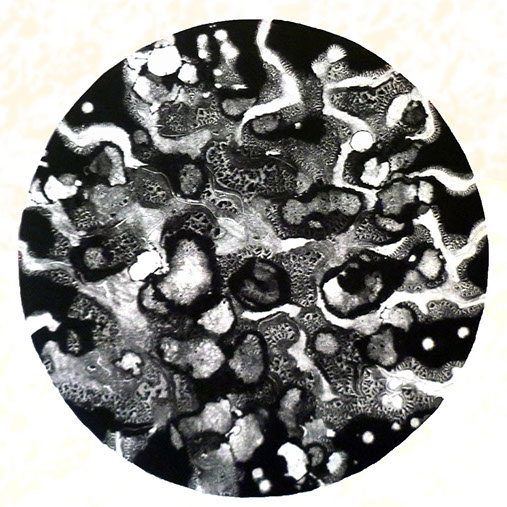 Monotype "Trifecta" by Normandie Hand